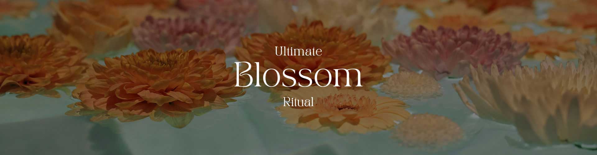 Ultimate Blossom Ritual | AIRE Ancient Baths