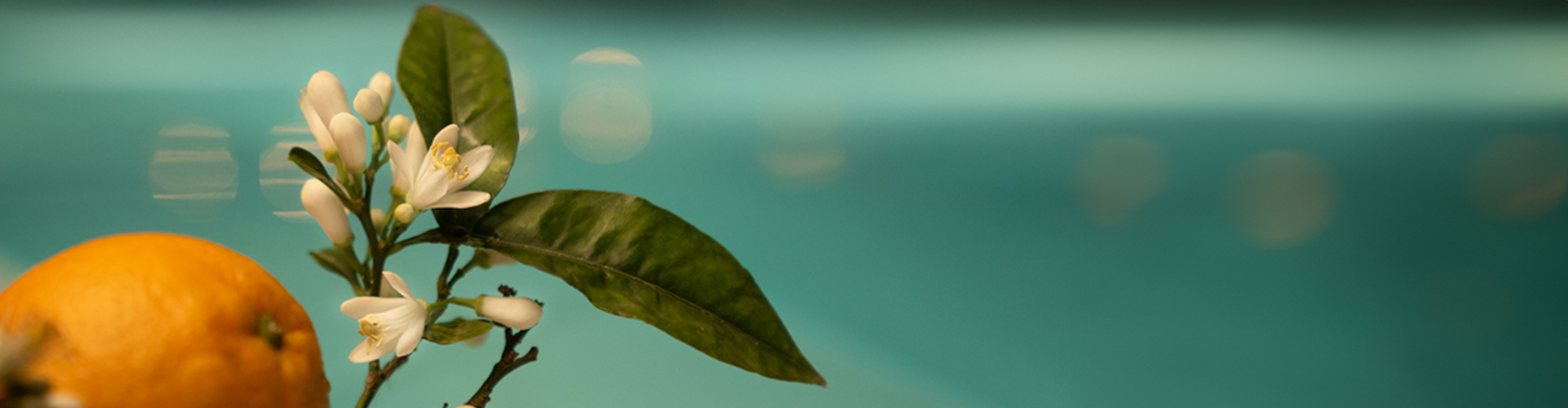 AIRE Ancient Baths - Chicago - Image 11