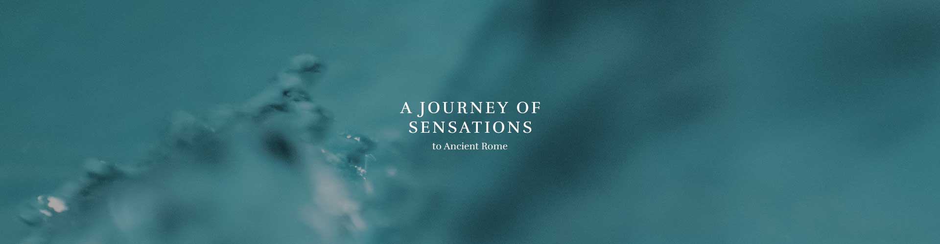 AIRE Ancient Baths - Chicago - Image 19