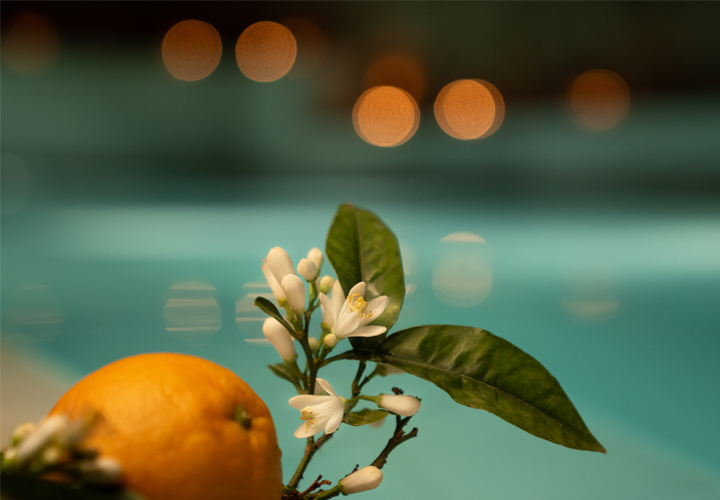 AIRE Ancient Baths - Chicago - Image 10