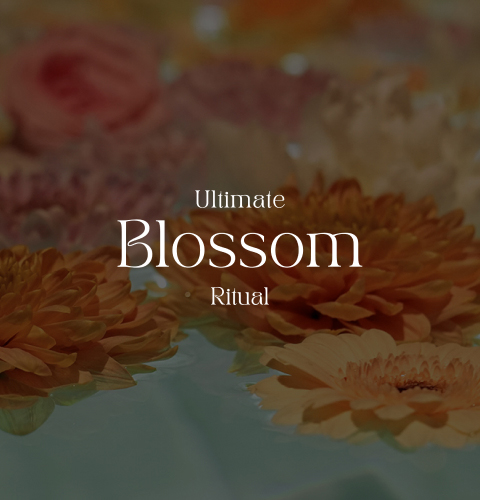 Ultimate Blossom Ritual | AIRE Ancient Baths