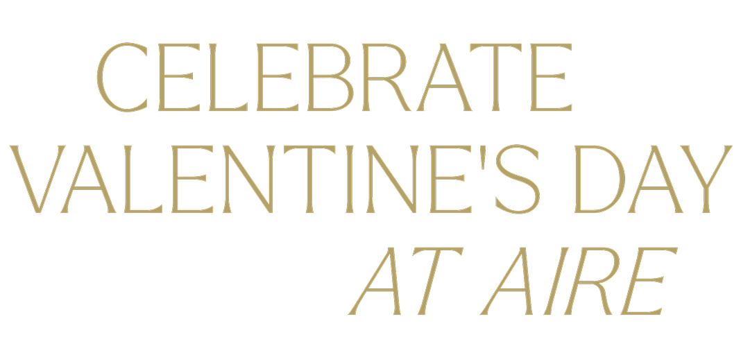 Black Friday Specials