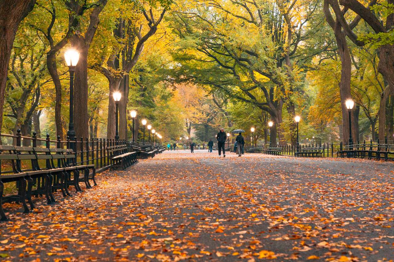 fall activities nyc